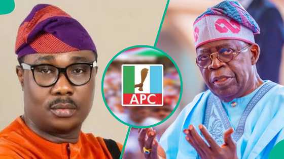 Kai tsaye: Sakamakon zaben fitar da gwanin APC tsakanin Tinubu da Osifor ya fara fitowa