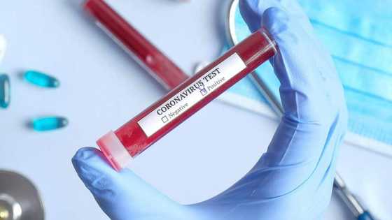 Coronavirus: Gwamnatin jahar Sakkwato ta bankado mutane 29 da suka dawo daga kasar waje