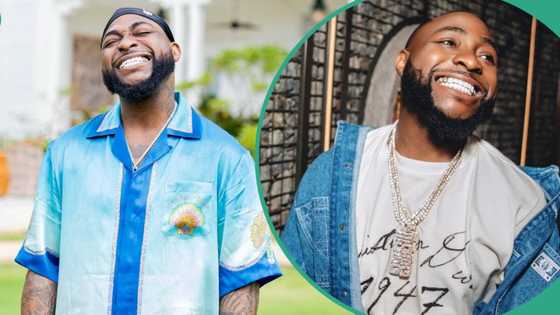 "Davido stresses me a lot": Davido's fans lament defending him after altercation with barber