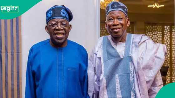 Matakin da APC ta dauka kan 'ya'yanta da suka bauɗe, suke cin mutuncin Tinubu, Ganduje