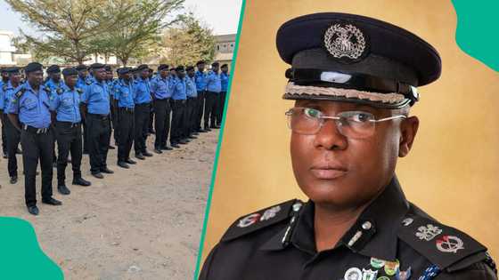 Dubu ta cika: An kama matashin da ake zargi da sace basarake a Kano, ya fara kiran sunaye