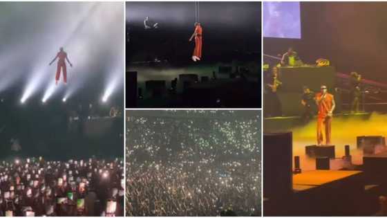 Wizkid descends from sky like superhero as he makes spectacular stage entrance in France, crowd goes gaga