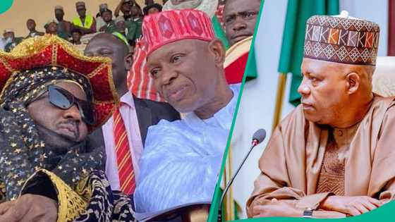 Abin da Kashim Shettima ya ce kan bikin Maulidi a Kano duk da zargin kokarin hana taron