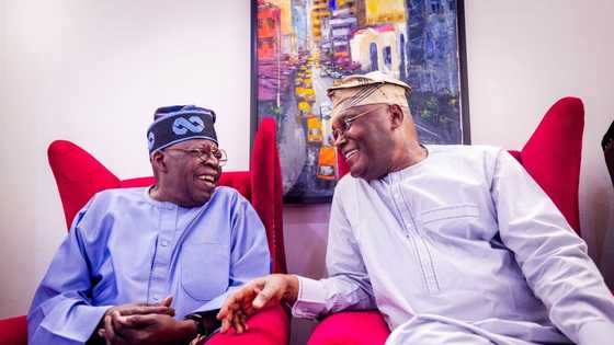 Bola Tinubu hails Atiku Abubakar on 76th birthday, says good things about him