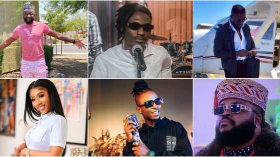 5 solid men, 1 powerful woman: Meet winners of BBNaija from 2006 to date, they are making waves in Naija