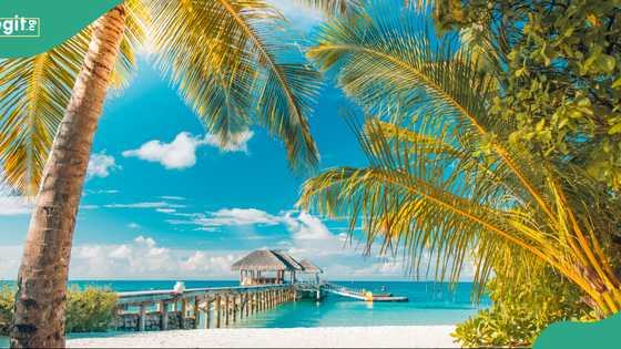 Seychelles releases visa-free entry rules for international travellers
