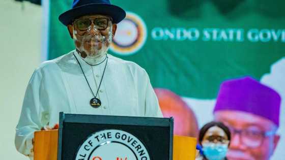 No land for herdsmen in my state - Another southwest governor insists, reveals his plan