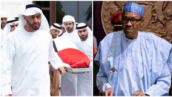 Da duminsa: Gwamnatin Dubai ta alanta neman yan Najeriya 6 ruwa a jallo, jerin sunayesu