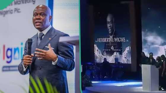 "One fellow made a statement": Man shares what he noticed from Herbert Wigwe's Night of Tributes