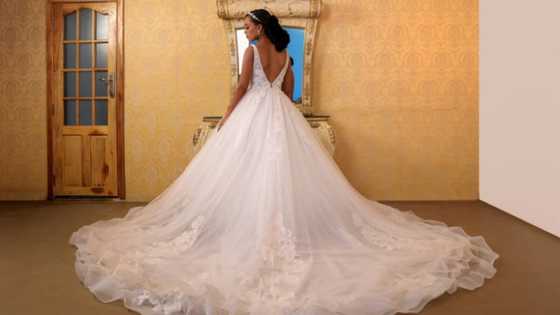 30+ ideas for wedding gowns: find inspiration for your big day