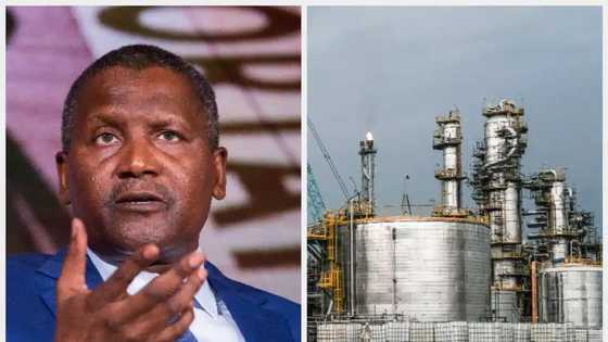 Matatar Man Dangote: Dalilin Da Ya Sa Muka Shiga Harkar Mai, Dangote Ya Yi Bayani