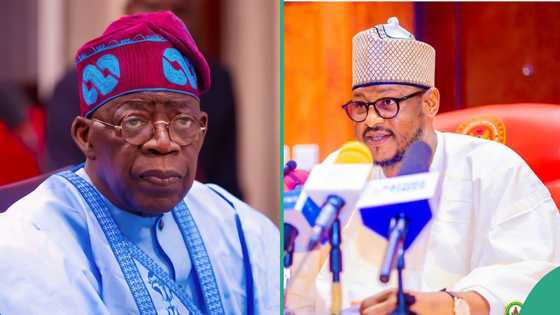 Nigerian governor declares public holiday as Tinubu is set to visit Buhari's state