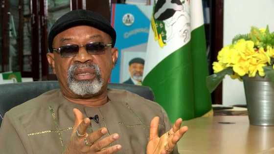 Minimum wage: Chris Ngige makes promise to labour