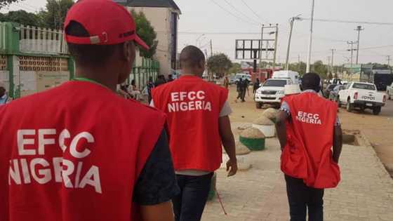 Isiyaku Ali-Danja: EFCC arrests Kano ex-speaker for alleged N1.5b fraud