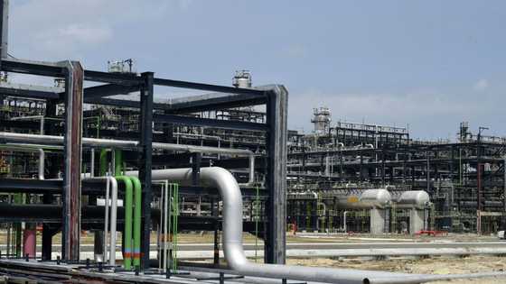 Nigeria's Dangote refinery caught between promise and reality