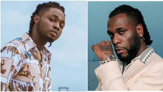 “I don’t see anybody else aside Burna Boy”: Omah Lay names best songwriter in viral video