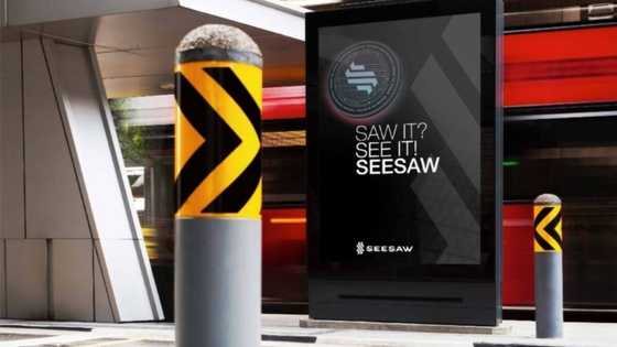 Show Me The Money! Seesaw Protocol Up 49% This Week Whilst Binance & Avalanche Fall