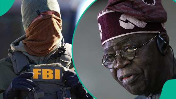 FBI's investigation dossier on Tinubu: 'Why president can't be arrested in US,' appointee speaks