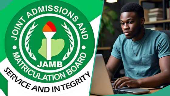 JAMB 2025 results: Top 10 university courses that don’t require Mathematics