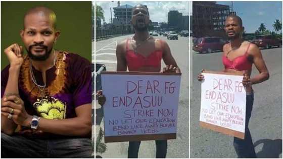 ASUU: “No let our education bend like aunty Ble Ble bonanza ikebe”, influential celebrity stages 1-man protest