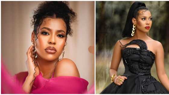 The look is worth over N1.6m: BBNaija Nini's stylist drops claim about her birthday outfit