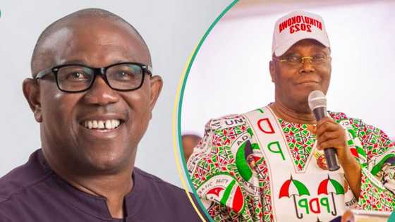 Why Obi met with Atiku, Saraki, Lamido, spokesman explains: “The few I can say for now”