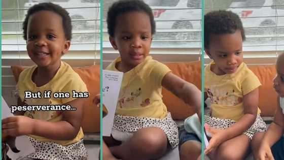 "She doesn't speak or understand English": Little girl raised in America fires Igbo language fluently