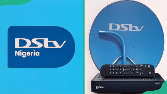 Does DStv Confam show Premier League? All Confam channels and prices