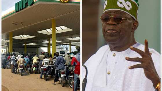 "Subsidy is gone": Fuel queues return on Tinubu’s first working day as Nigeria's president, NNPC speaks