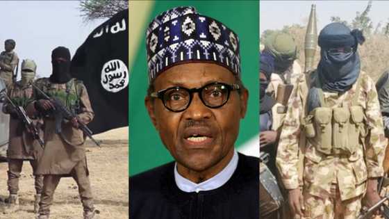 Amurka ta gano sirri: 'Yan bindiga na hada kai da Boko Haram don bata gwamnatin Buhari