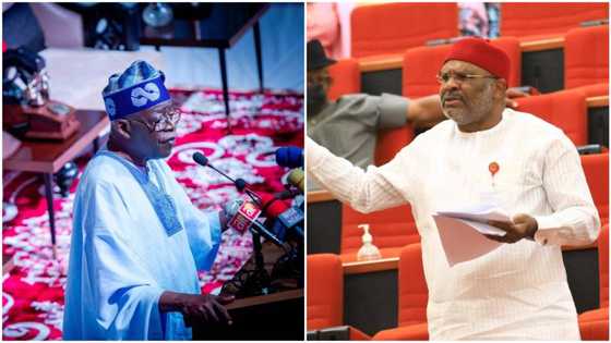 2023 presidency: Strong PDP senator says Tinubu is most successful governor, reveals who he will vote for