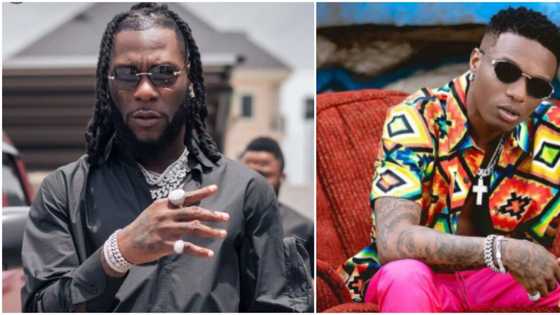 Hand it Over to Wizkid, Fan Says as Burna Boy Searches for Younger artist to Hand Over to