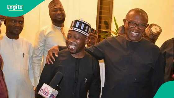 Awanni bayan ziyartar Atiku, Peter Obi ya zauna da jigon APC a Kano