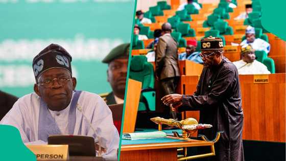 Tax Bill 2024: Lawmakers list conditions for Tinubu to approve or repeal tax exemption order