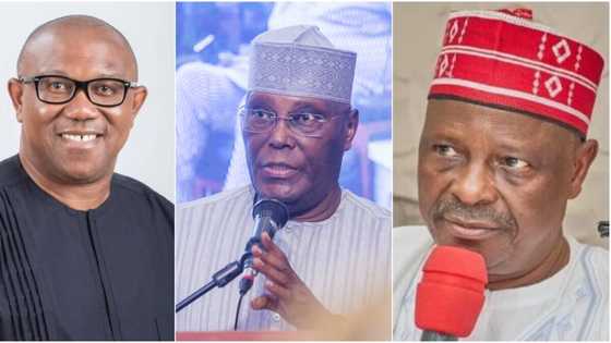 2023 Presidency: Obi, Kwankwaso Won’t Step Down for Atiku, Labour Party, NNPP Insist, Give Strong Reasons