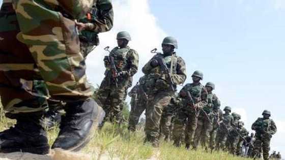 Yanzu-Yanzu: Mayaƙan Boko Haram sun sha mummunan kaye hannun sojoji, mutane na can suna murna a Damboa