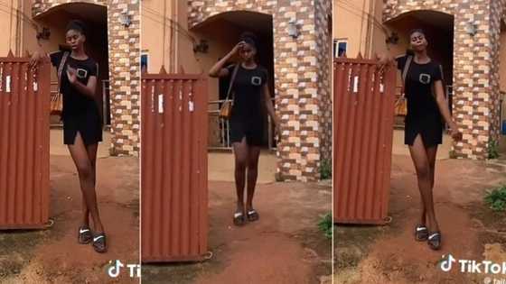 "Taller than the gate": Girl with incredible height stands in front of building, video trends