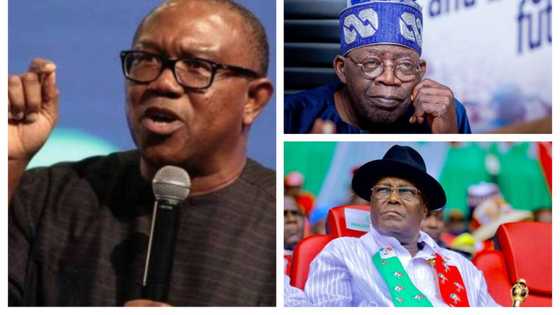 2023 elections: Sudden crack in LP as top campaigners dump Obi, pick between Atiku, Tinubu