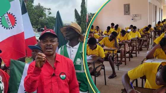 WASSCE 2024: Will organised labour's strike affect ongoing exam? WAEC gives update