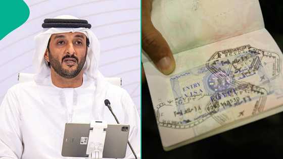 UAE publishes visit visa fees for foreigners, lists charges for single and multiple entry