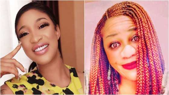 Nigerians react after Stella Dimoko Korkus claimed Tonto Dikeh eats 'poo' in Dubai