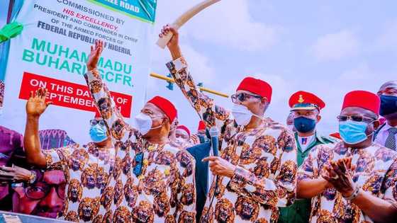 Slip of the tongue: Uzodimma mistakenly says President Buhari is insensitive