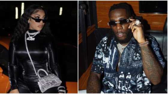 Don't associate me with anyone I left in the past: Burna Boy's ex-girlfriend Stefflon Don causes stir online