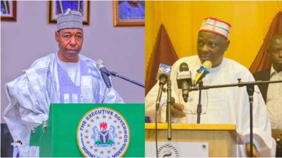 2023: "Unseal NNPP's headquarters now", APC governor comes to Kwankwaso's rescue