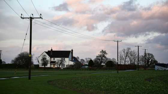 In the English countryside, a pylon war looms
