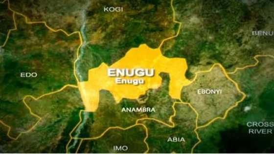 Just in: Tension erupts in Enugu as gunmen attack market, burn police vehicle