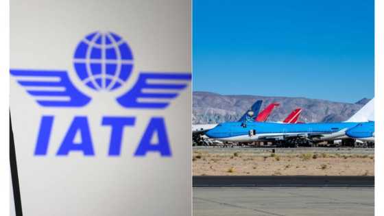 Nigeria tops countries with most trapped airline funds in the world