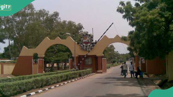 Newborn baby found dead behind university hostel in Yola