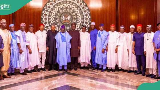 Albashi: Miliyoyin da Shugaban Ƙasa, Mataimaki da sauran jami'an gwamnati suke karba