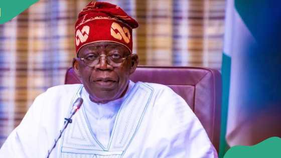 Tinubu sacks Buhari’s appointee, names new DG of Nigeria’s museum commission